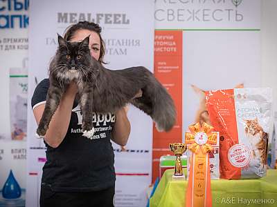 �������� ����� 21-22 �������� 2019 �.  ���������� 6-48-0672.jpg