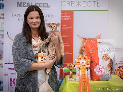 �������� ����� 21-22 �������� 2019 �.  ���������� 8-154-0669.jpg