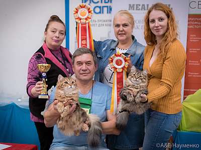 �������� ����� 21-22 �������� 2019 �.  ���������� 1-190-0781.jpg