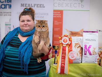 �������� ����� 21-22 �������� 2019 �.  ���������� 10-148-0768.jpg