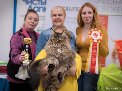 �������� ����� 21-22 �������� 2019 �.  ���������� 2-39-0779.jpg