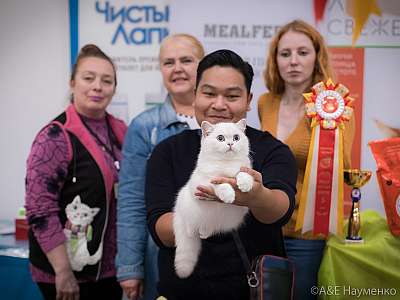 �������� ����� 21-22 �������� 2019 �.  ���������� 5-114-0774.jpg