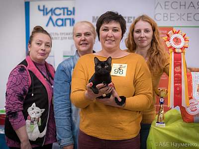 �������� ����� 21-22 �������� 2019 �.  ���������� 6-98-0772.jpg