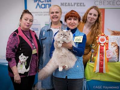 �������� ����� 21-22 �������� 2019 �.  ���������� 7-66-0771.jpg