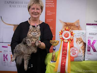 �������� ����� 21-22 �������� 2019 �.  ���������� 8-191-0770.jpg