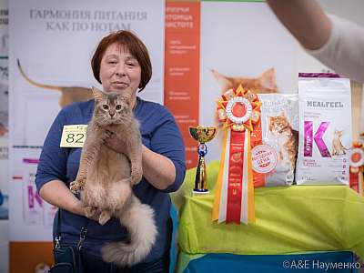 �������� ����� 21-22 �������� 2019 �.  ���������� 9-82-0769.jpg