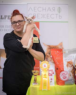 �������� ����� 21-22 �������� 2019 �.  ���������� 2-189-0314.jpg