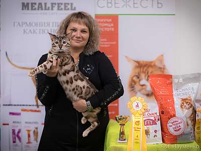 �������� ����� 21-22 �������� 2019 �.  ���������� 4-95-0312.jpg