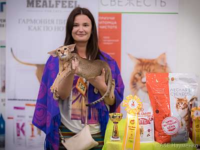 �������� ����� 21-22 �������� 2019 �.  ���������� 5-154-0311.jpg