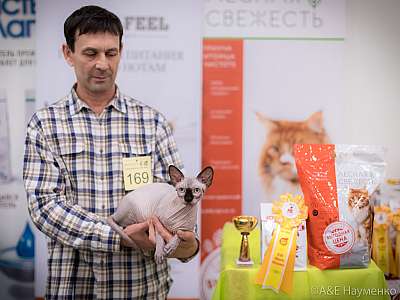 �������� ����� 21-22 �������� 2019 �.  ���������� 6-169-0310.jpg