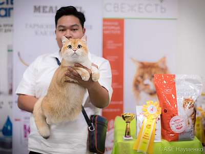 �������� ����� 21-22 �������� 2019 �.  ���������� 7-118-0309.jpg