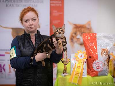 �������� ����� 21-22 �������� 2019 �.  ���������� 8-92-0308.jpg