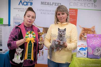 �������� ����� 21-22 �������� 2019 �.  ���������� 3-184-0600.jpg