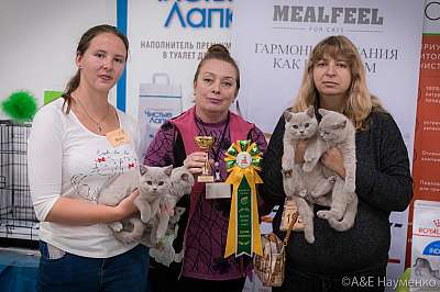 �������� ����� 21-22 �������� 2019 �.  ���������� 5-193-0601.jpg