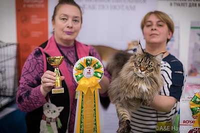 �������� ����� 21-22 �������� 2019 �.  ���������� 1-39-0071.jpg