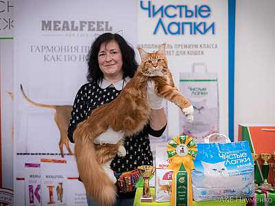 �������� ����� 21-22 �������� 2019 �.  ���������� 3-21-0067.jpg