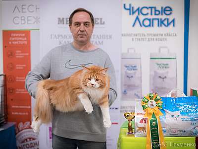 �������� ����� 21-22 �������� 2019 �.  ���������� 4-19-0072.jpg