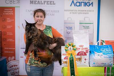 �������� ����� 21-22 �������� 2019 �.  ���������� 5-29-0070.jpg