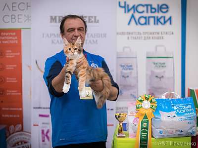 �������� ����� 21-22 �������� 2019 �.  ���������� 7-32-0034.jpg