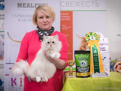 �������� ����� 21-22 �������� 2019 �.  ���������� 3-68-0726.jpg