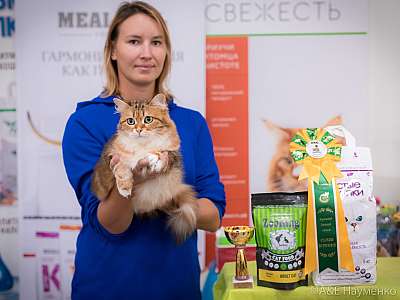 �������� ����� 21-22 �������� 2019 �.  ���������� 4-80-0724.jpg