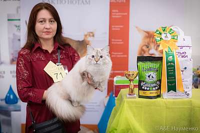 �������� ����� 21-22 �������� 2019 �.  ���������� 6-72-0725.jpg