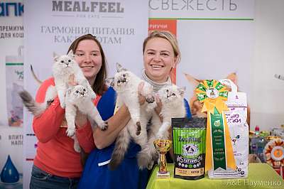 �������� ����� 21-22 �������� 2019 �.  ���������� 9-81-0728.jpg