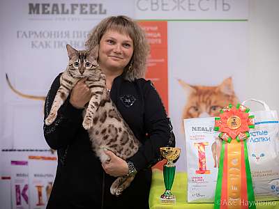 �������� ����� 21-22 �������� 2019 �.  ���������� 10-95-0281.jpg