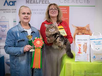 �������� ����� 21-22 �������� 2019 �.  ���������� 2-78-0292.jpg