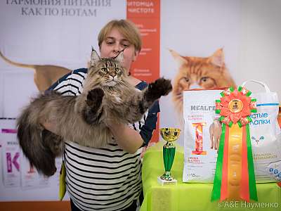 �������� ����� 21-22 �������� 2019 �.  ���������� 3-39-0289.jpg