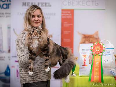 �������� ����� 21-22 �������� 2019 �.  ���������� 5-58-0286.jpg