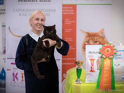 �������� ����� 21-22 �������� 2019 �.  ���������� 6-142-0285.jpg