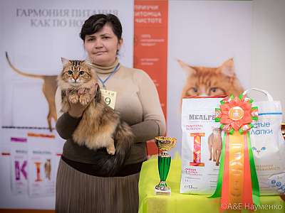 �������� ����� 21-22 �������� 2019 �.  ���������� 7-79-0284.jpg