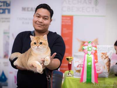 �������� ����� 21-22 �������� 2019 �.  ���������� 2-120-0484.jpg