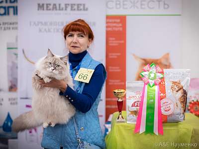 �������� ����� 21-22 �������� 2019 �.  ���������� 3-66-0483.jpg