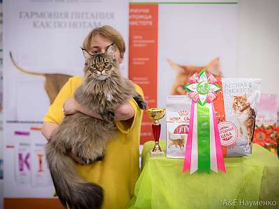 �������� ����� 21-22 �������� 2019 �.  ���������� 7-39-0481.jpg