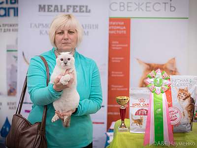 �������� ����� 21-22 �������� 2019 �.  ���������� 9-160-0477.jpg