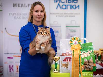 �������� ����� 21-22 �������� 2019 �.  ���������� 1-80-0129.jpg