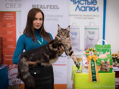 �������� ����� 21-22 �������� 2019 �.  ���������� 3-43-0127.jpg