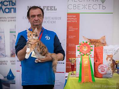 �������� ����� 21-22 �������� 2019 �.  ���������� 1-32-0504.jpg