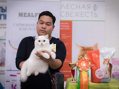 �������� ����� 21-22 �������� 2019 �.  ���������� 10-114-0496.jpg