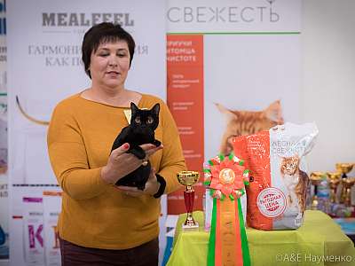 �������� ����� 21-22 �������� 2019 �.  ���������� 2-99-0502.jpg