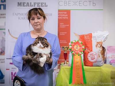 �������� ����� 21-22 �������� 2019 �.  ���������� 3-1-0498.jpg