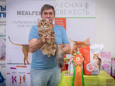 �������� ����� 21-22 �������� 2019 �.  ���������� 4-190-0495.jpg