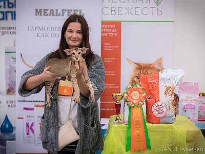 �������� ����� 21-22 �������� 2019 �.  ���������� 6-154-0499.jpg