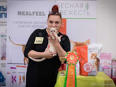 �������� ����� 21-22 �������� 2019 �.  ���������� 7-189-0494.jpg