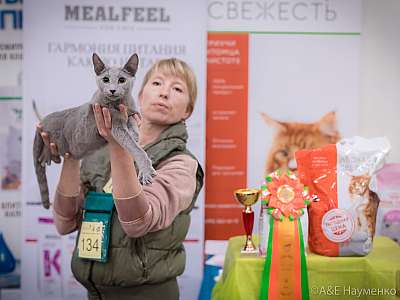 �������� ����� 21-22 �������� 2019 �.  ���������� 9-134-0497.jpg