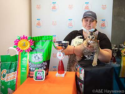 �������� ����� 19-20 �������� 2020 ���������� 11-126-0303.jpg