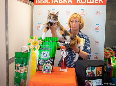 �������� ����� 19-20 �������� 2020 ���������� 18-152-0284.jpg