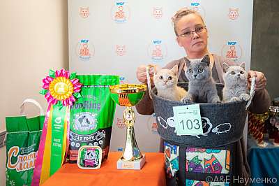 �������� ����� 19-20 �������� 2020 ���������� 22-103-0263.jpg